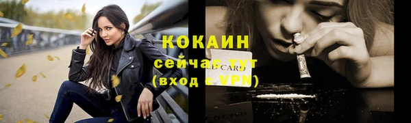 ECSTASY Костерёво