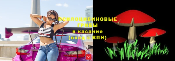 мяу мяу мука Аркадак