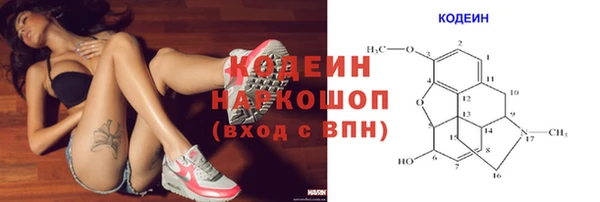 Альфа ПВП Корсаков