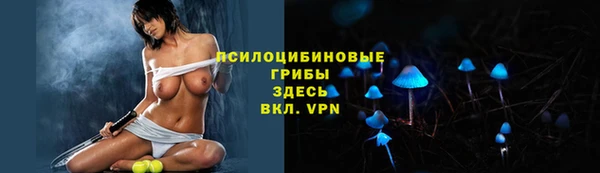 а пвп мука Арсеньев