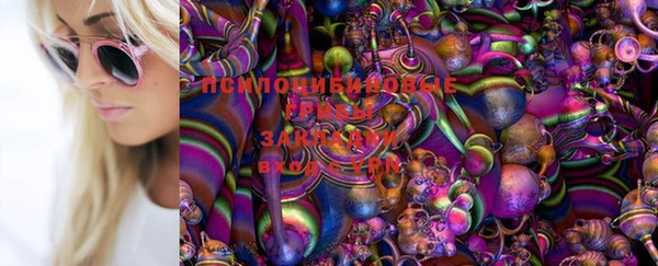 а пвп мука Арсеньев