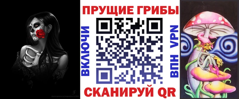 Псилоцибиновые грибы Psilocybe  Омутнинск 